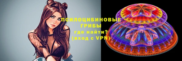 тгк Горно-Алтайск
