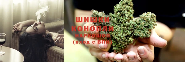 тгк Горно-Алтайск